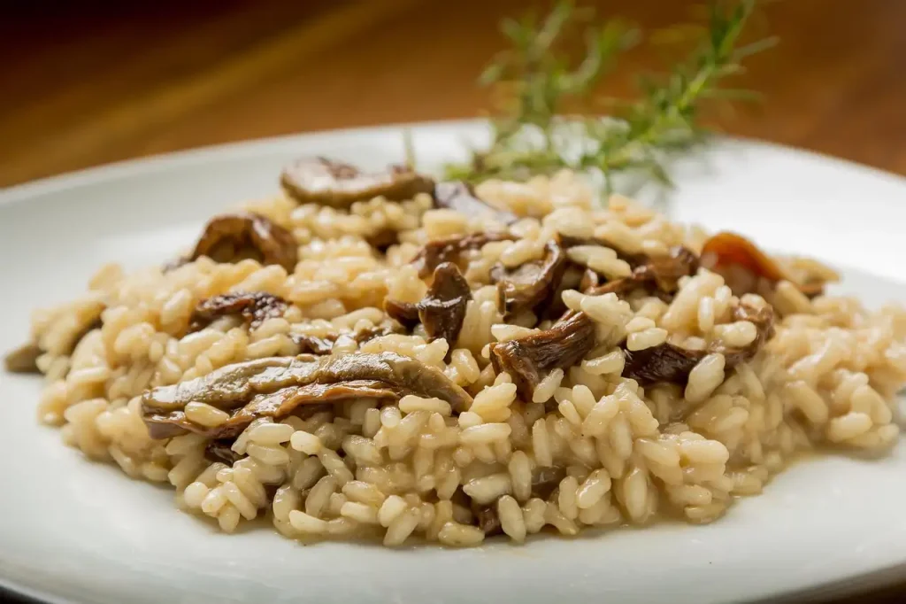 Welke witte wijn bij risotto? Ontdek de beste combinaties!