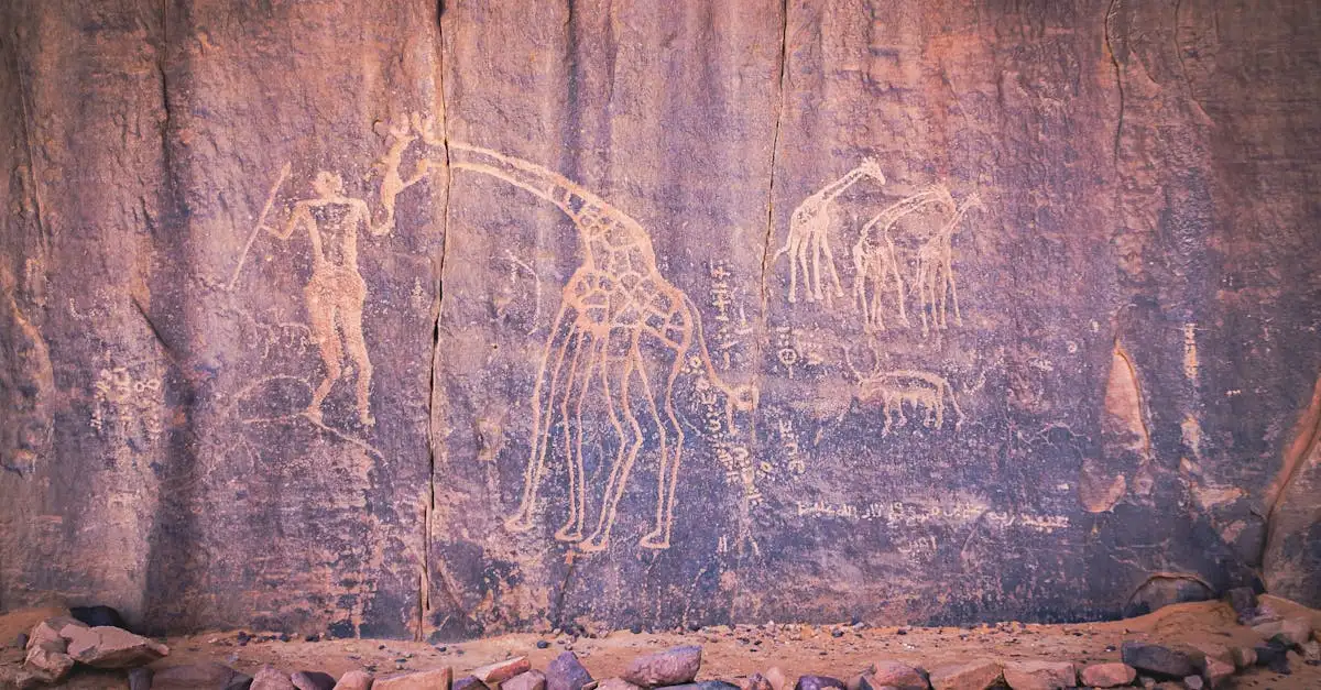 Welke woestijn in Algerije heeft de Tassili n'Ajjer-rotstekeningen?