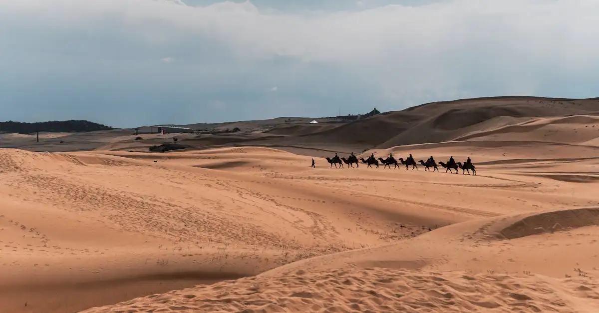 Welke woestijn in China heeft de grootste zandduinen?