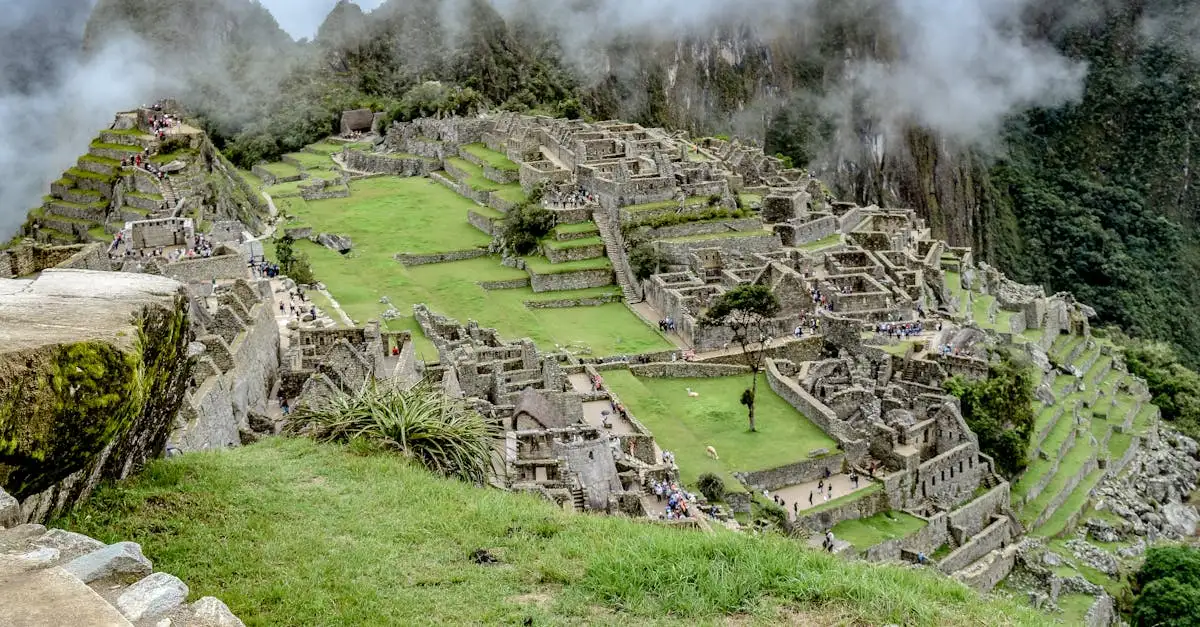 Hoe gebruikten de Inca's landbouwterrassen effectief?