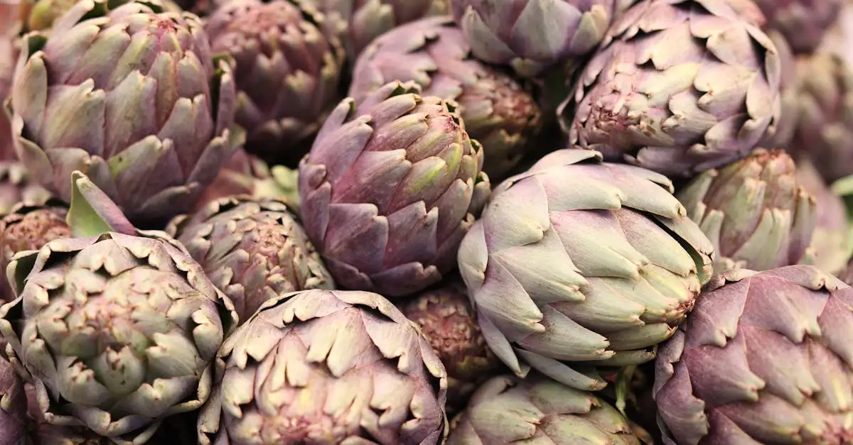 Waar is artisjok goed voor? Ontdek de gezondheidsvoordelen!