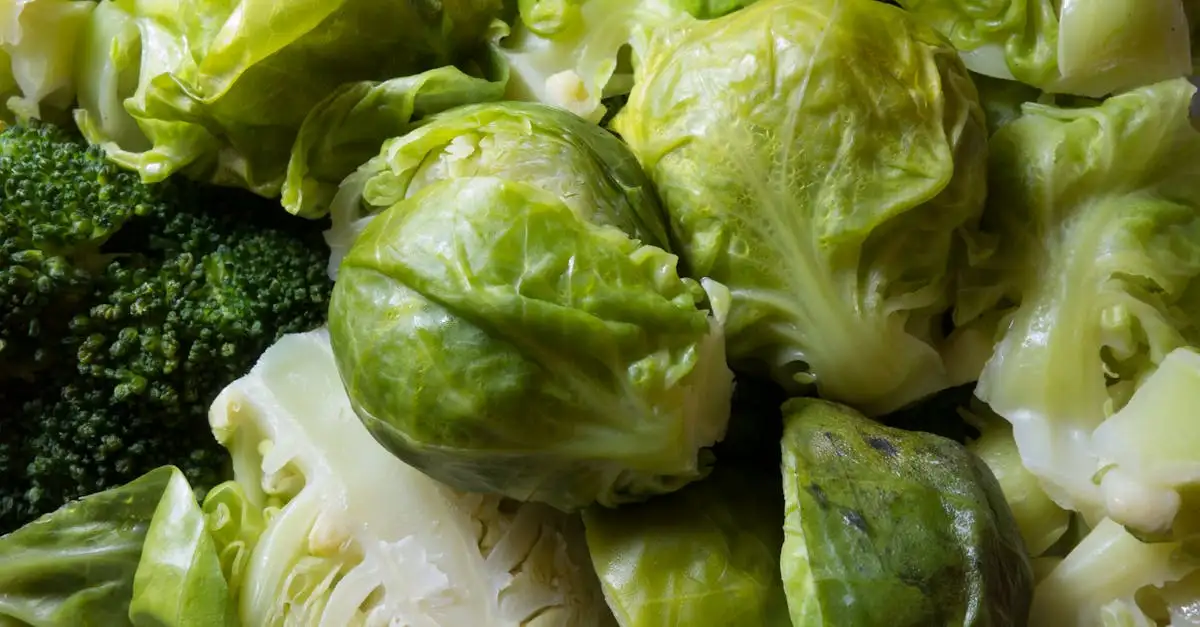 Waar is ijzer vitamine goed voor? Ontdek de voordelen hier!