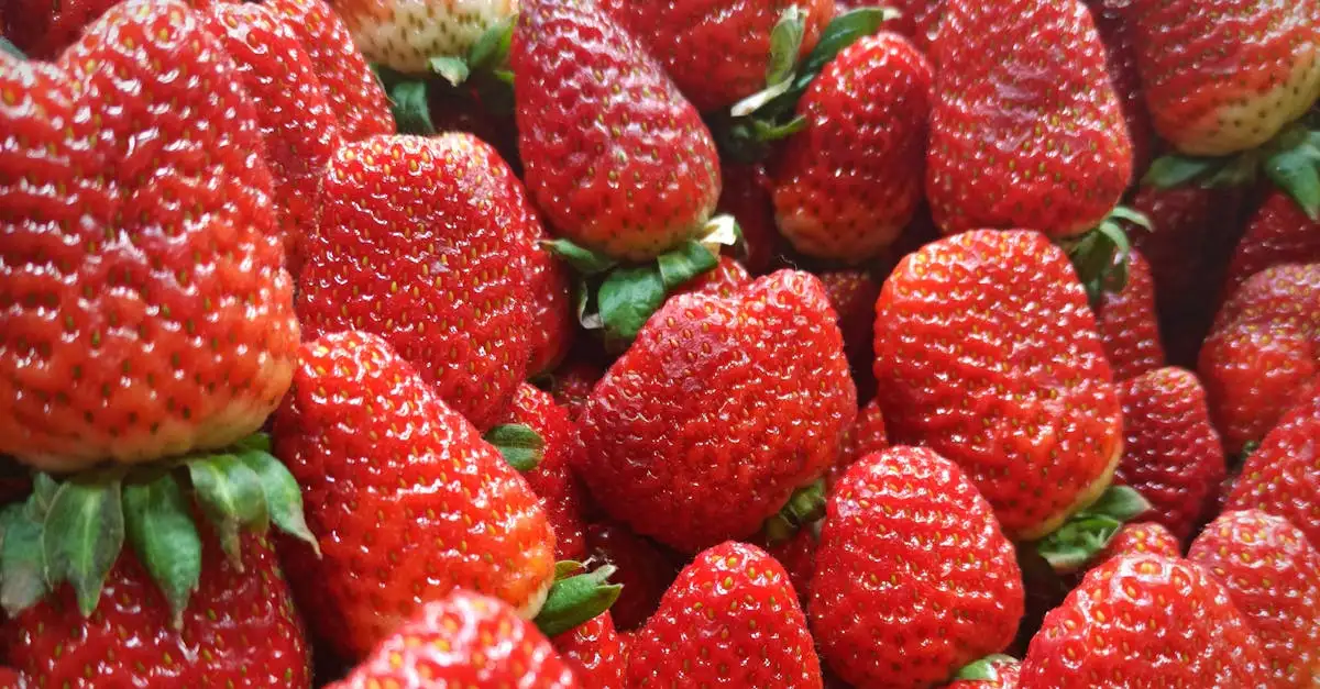 Waar zijn aardbeien goed voor? Ontdek de gezondheidsvoordelen!