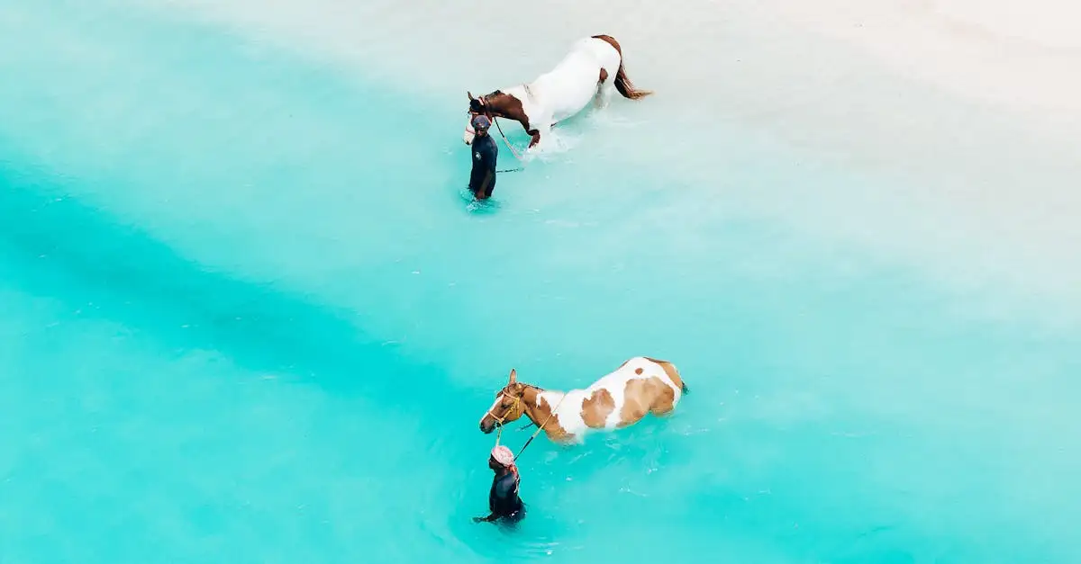 Wat te doen op het tropische eiland Zanzibar in Tanzania?