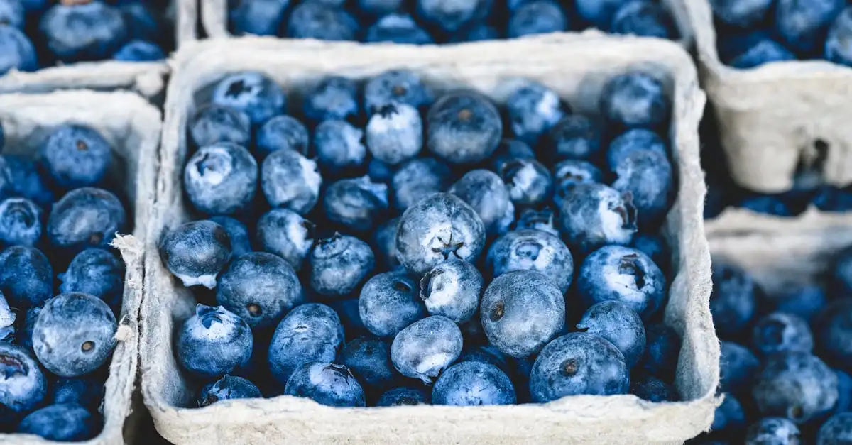 Welk fruit bij keto dieet? Ontdek de beste opties voor jou!