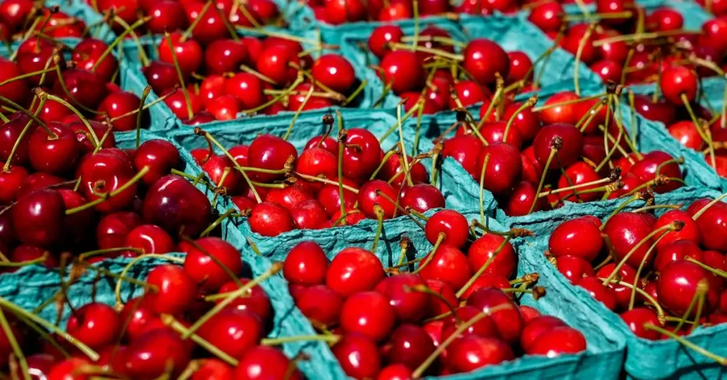 Welk fruit is gezond bij afvallen? Ontdek de beste keuzes!