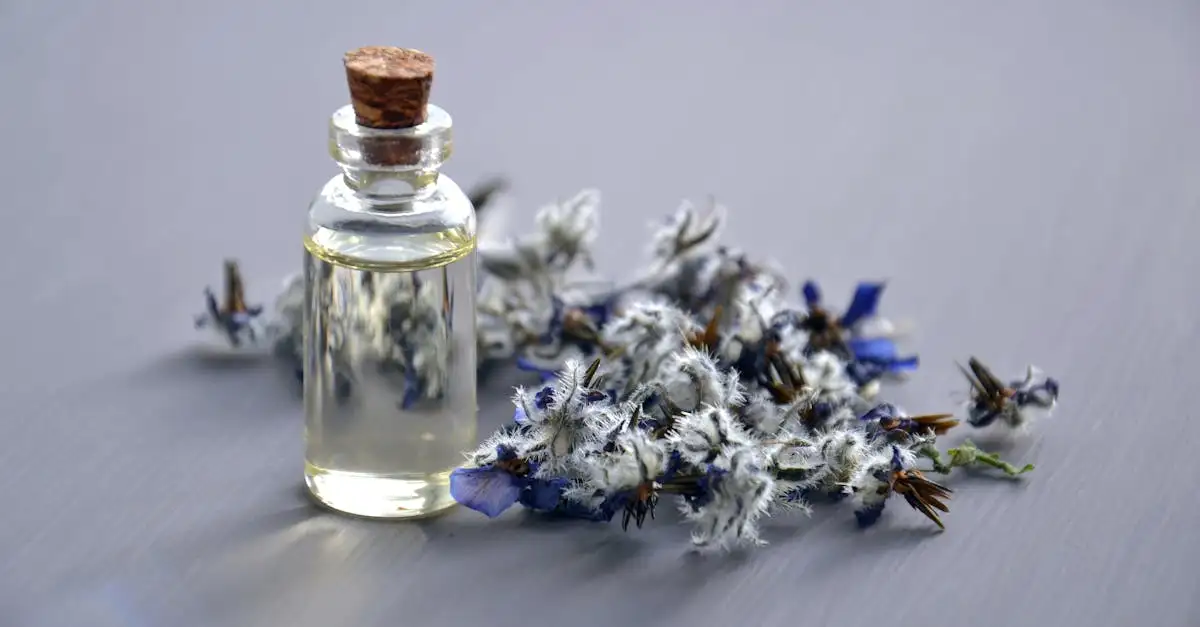Welk parfum past bij mij? Ontdek jouw perfecte geur hier!
