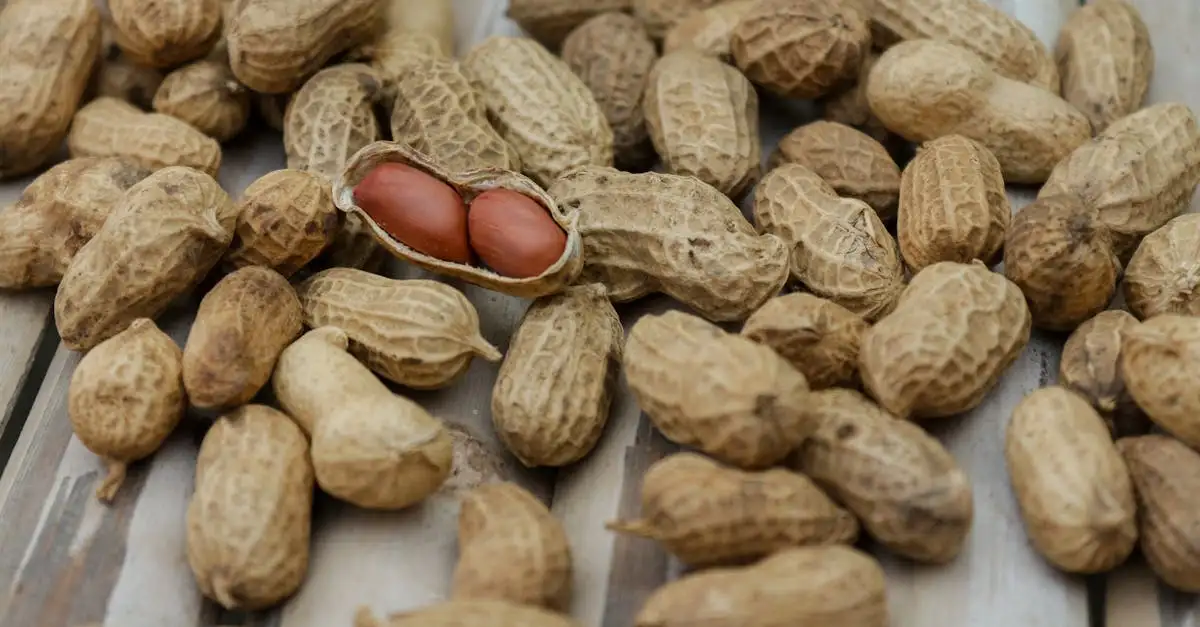 Welk wasmiddel bij allergie? Ontdek de beste opties hier!