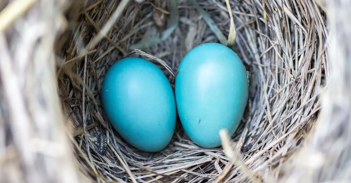 Welke babymaat bij geboorte? Ontdek de juiste maat hier!