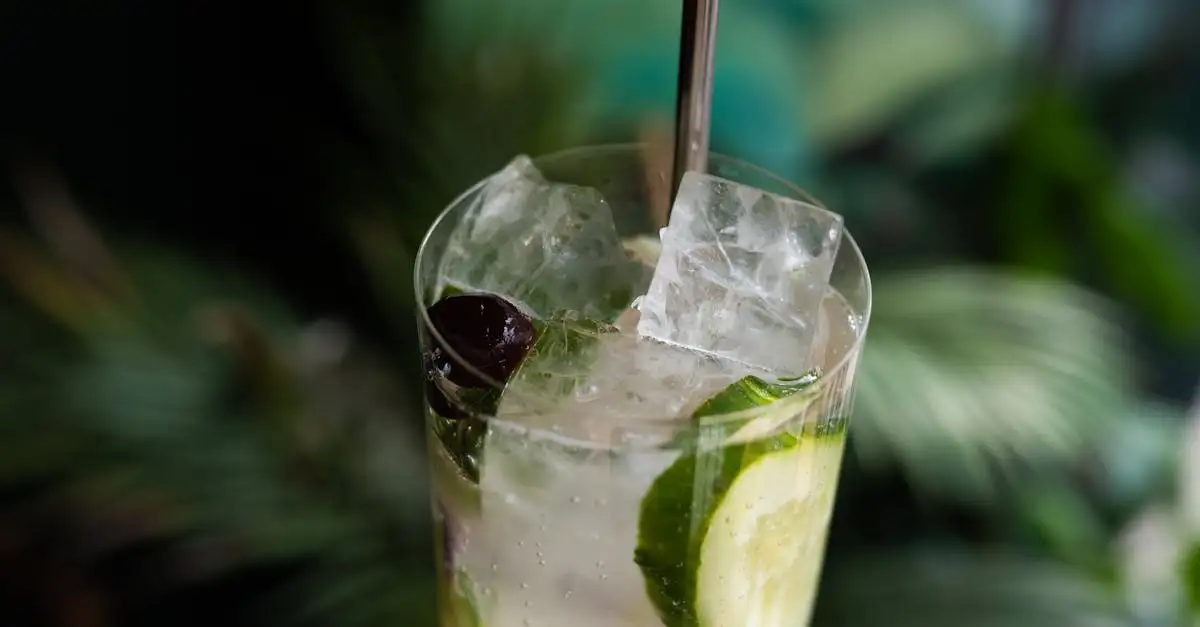 Welke tonic bij Bombay Gin? Ontdek de perfecte pairing!
