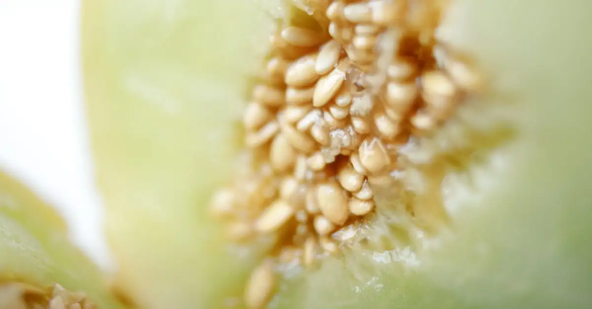 Vitamine B6 waar goed voor? Ontdek de voordelen en bronnen!