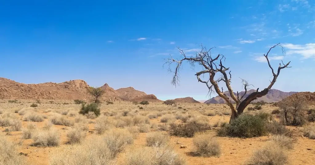 Waar ligt de beroemde Dead Vlei en Sossusvlei precies?