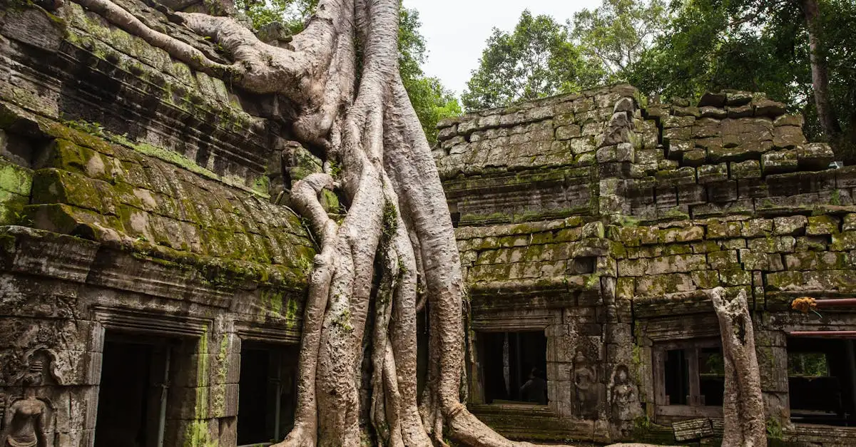 Wat is de beknopte geschiedenis van Cambodja?