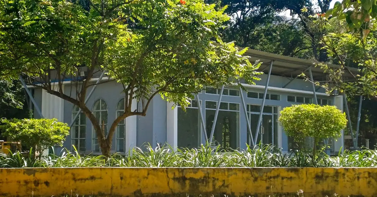 Wat is de beknopte geschiedenis van Tanzania?