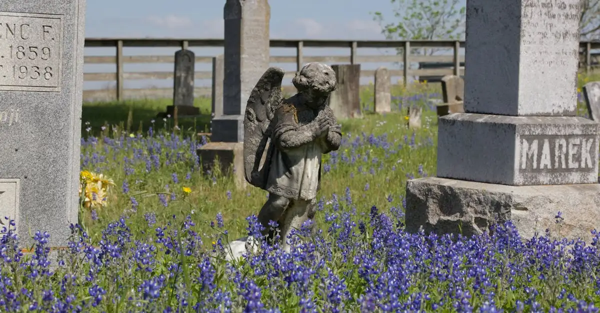 Wat is de beknopte geschiedenis van Texas? Ontdek het hier!