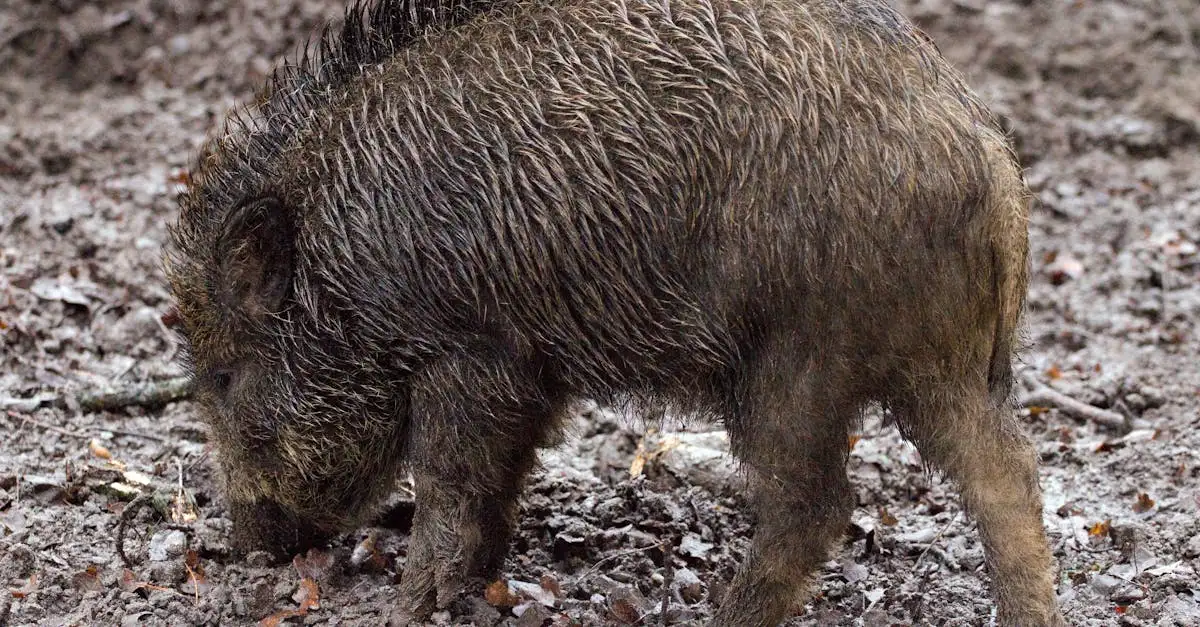 Wat maakt het Krugerpark uniek voor wilde dieren in Zuid-Afrika?