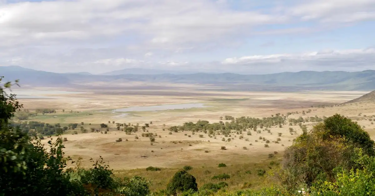 Wat maakt het Ngorongoro-kratergebied uniek in Tanzania?
