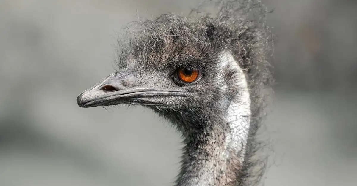 Wat maakt vogels zo uniek in het dierenrijk? Ontdek het hier!