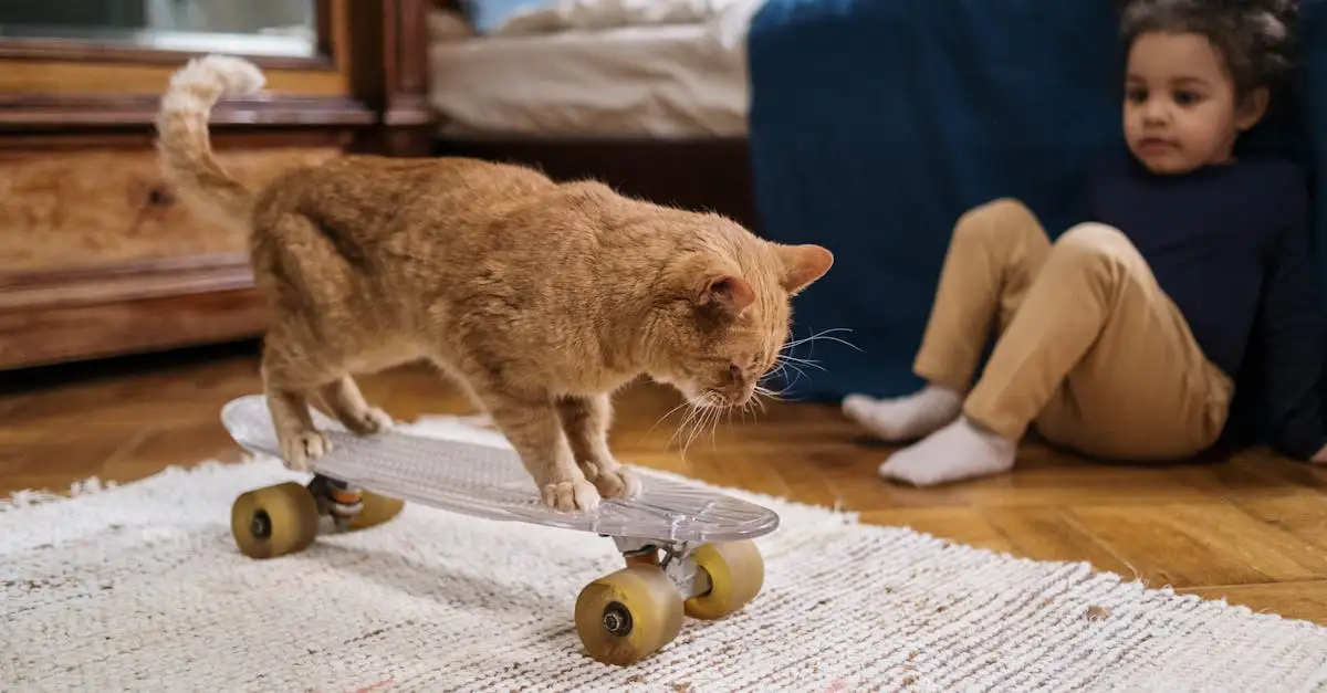 Wat was de rol van skateboarden in de Olympische Spelen 2020?