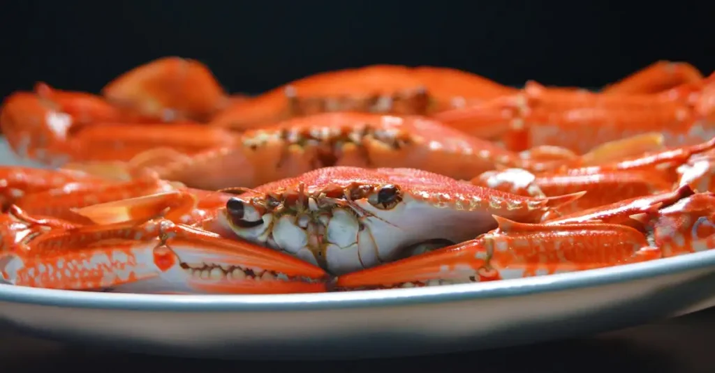 Wat zijn de top 3 culinaire specialiteiten van Noord-Macedonië?