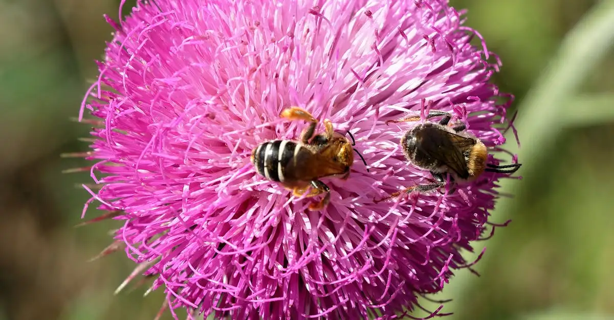 Welke bloemen geef je bij overlijden? Tips en suggesties!