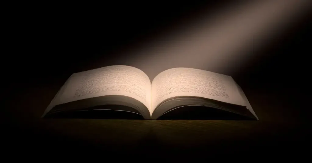 Welke hbo opleiding past bij mij? Ontdek jouw ideale studie!