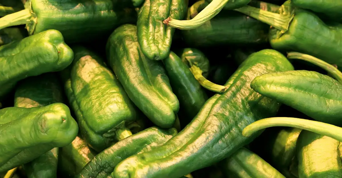 Welke rol hadden lange nekken in de voeding van sauropoden?