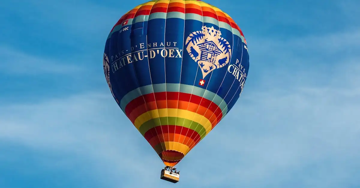 Wie waren de gebroeders Montgolfier in de luchtvaart?