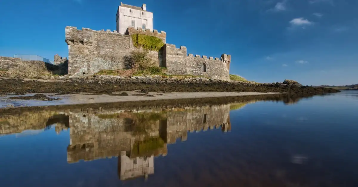 Hoe beïnvloedden de Vikingen de geschiedenis van Ierland?