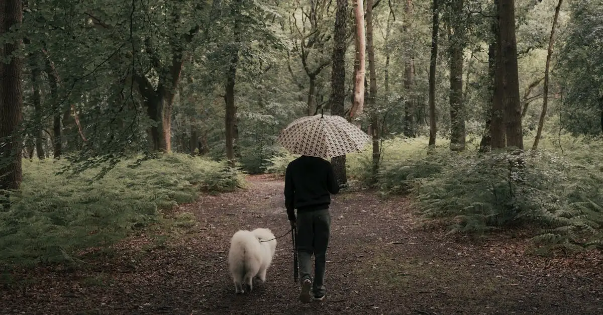 Hoe vaak moet je je hond eigenlijk uitlaten?
