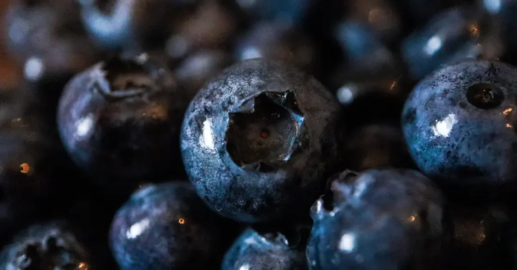 Waar is blauwe bes goed voor? Ontdek de gezondheidsvoordelen!