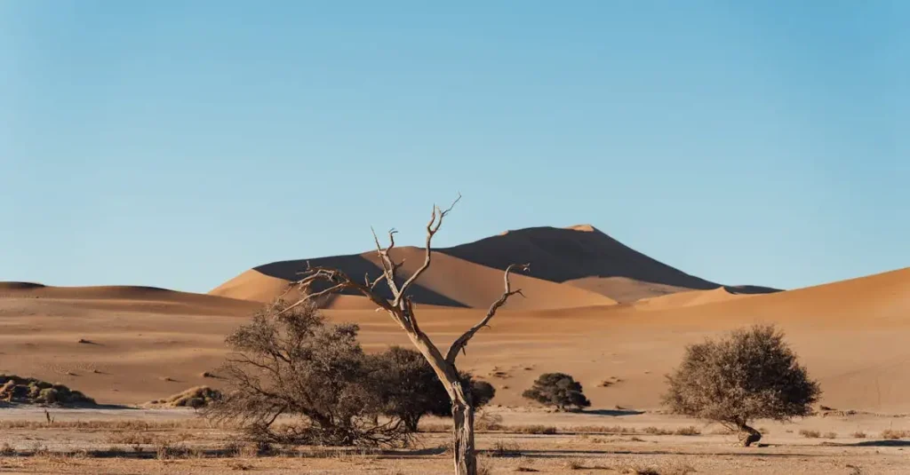 Wat maakt de Namib de oudste woestijn van Zuid-Afrika?