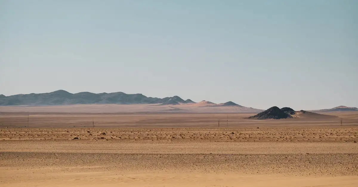 Wat maakt de Namib de oudste woestijn van Zuid-Afrika?