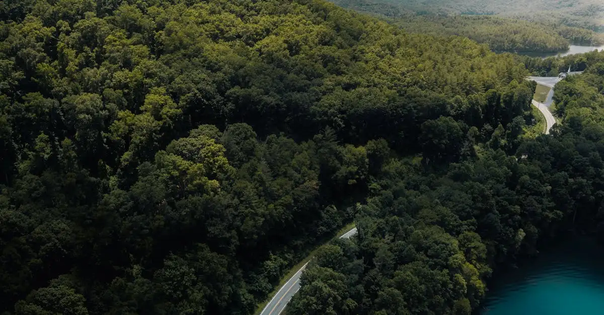 Wat te doen in het Tsitsikamma National Park, Zuid-Afrika?
