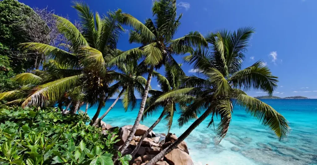 Wat te doen op het eiland Praslin in de Seychellen?