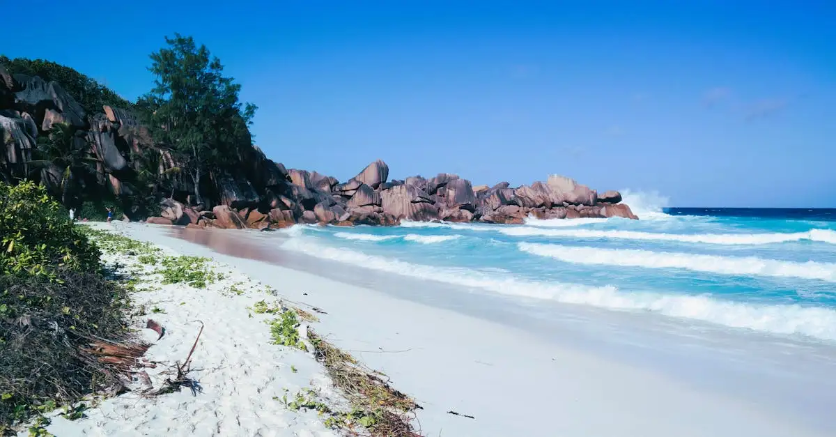 Wat te doen op het eiland Praslin in de Seychellen?