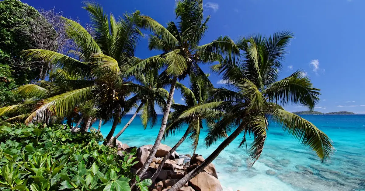 Wat te doen op het eiland Praslin in de Seychellen?