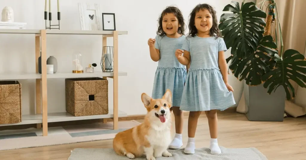 Welke hond past bij gezin? Ontdek de perfecte match!