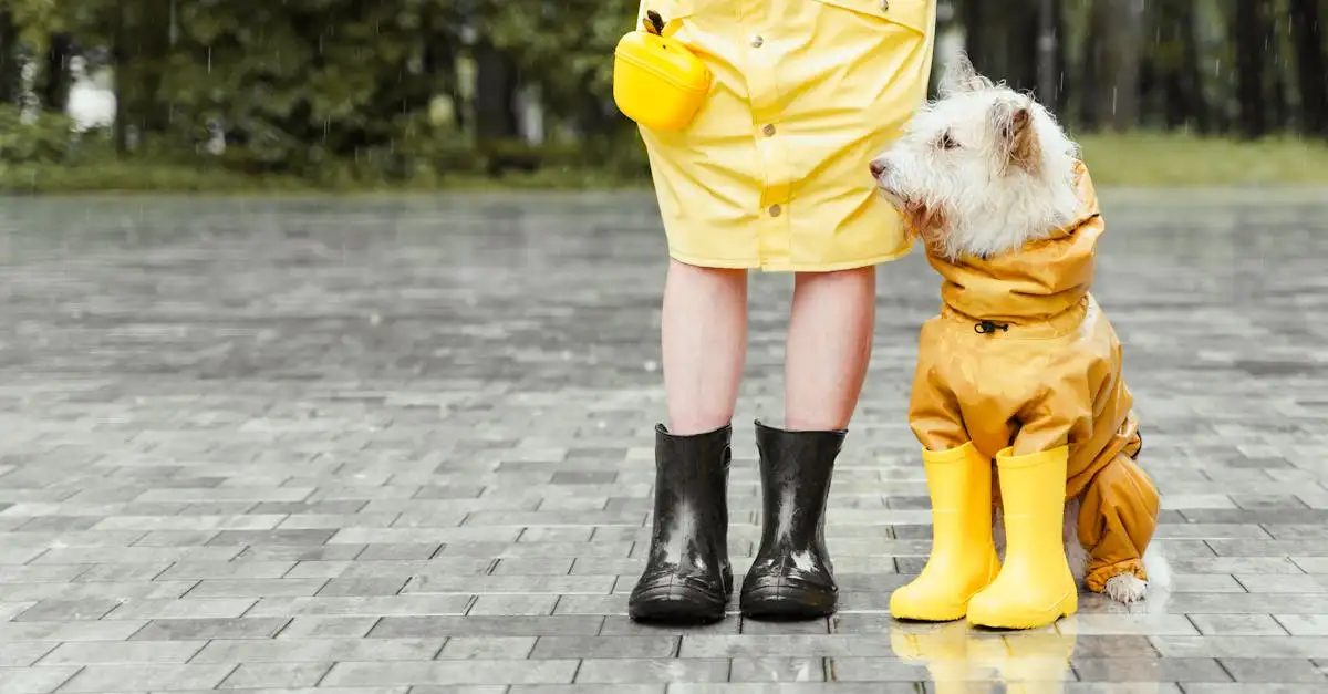 Welke hond past bij gezin? Ontdek de perfecte match!