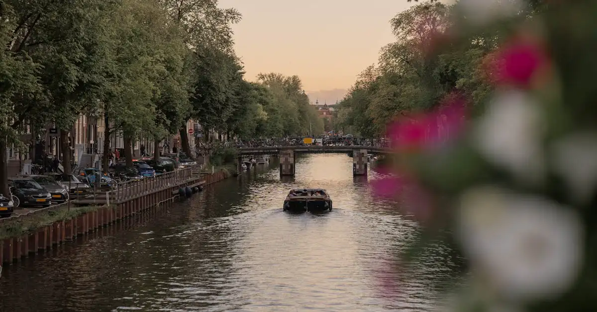 Welke stad in Nederland was beroemd om tulpenhandel?