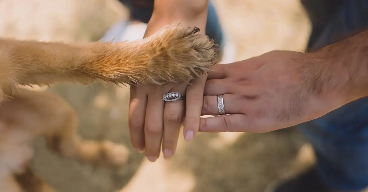 Welke vaardigheden kunnen honden leren om ons te helpen?