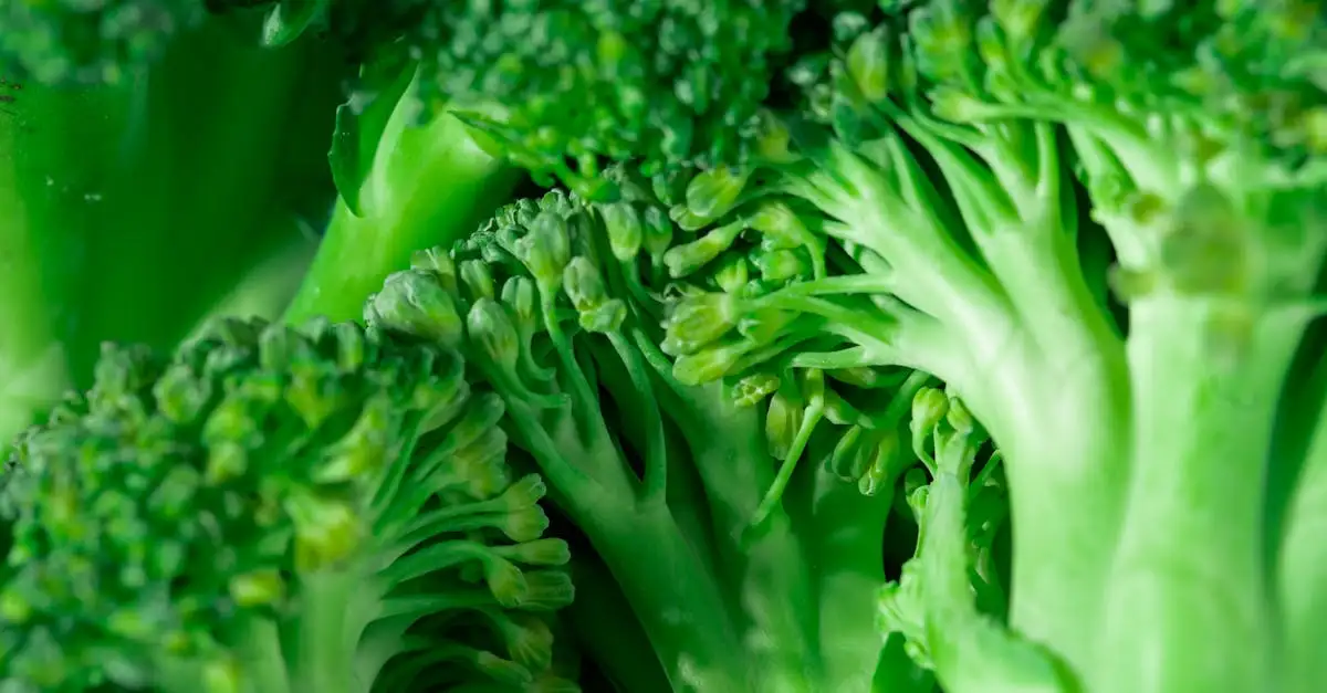 Welke vetten bij koolhydraatarm dieet? Ontdek de beste keuzes!