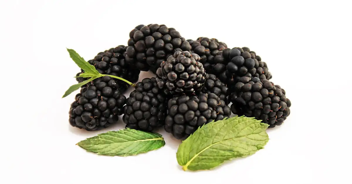 Welke vitamine tekort bij vermoeidheid? Ontdek de oorzaken!