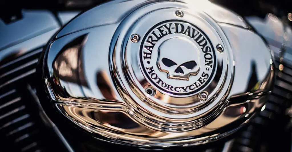 Wie speelde Harley Quinn in Suicide Squad? Ontdek het hier!