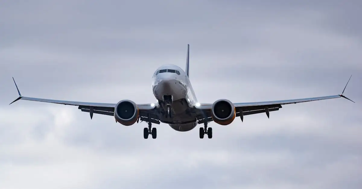Hoe hebben low-cost luchtvaartmaatschappijen reizen betaalbaar gemaakt?