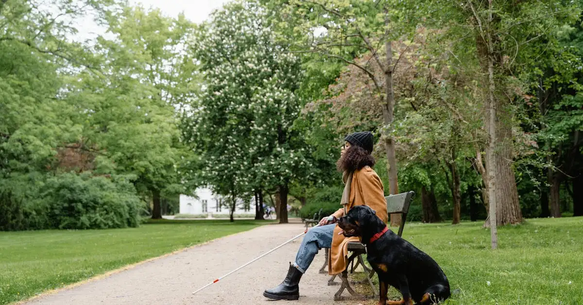 Honden tot hulphond opleiden in Overijssel: Wat zijn de opties?