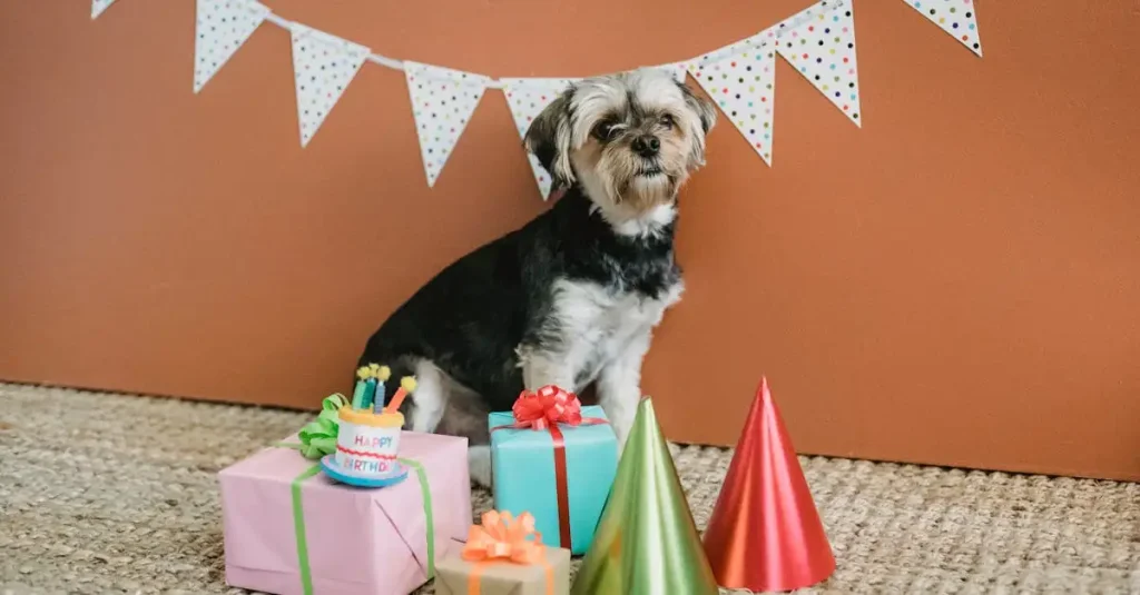 In welk land worden honden geëerd met slingers?