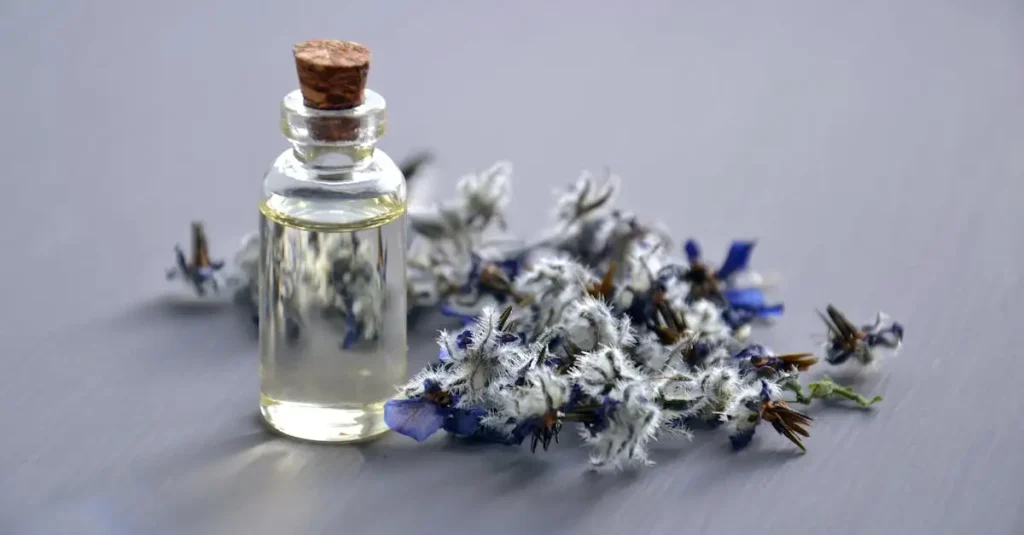 Parfum welke geur past bij mij? Ontdek jouw perfecte match!