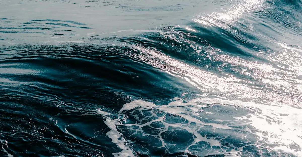 Waar te Surfen op de Stranden van El Salvador?