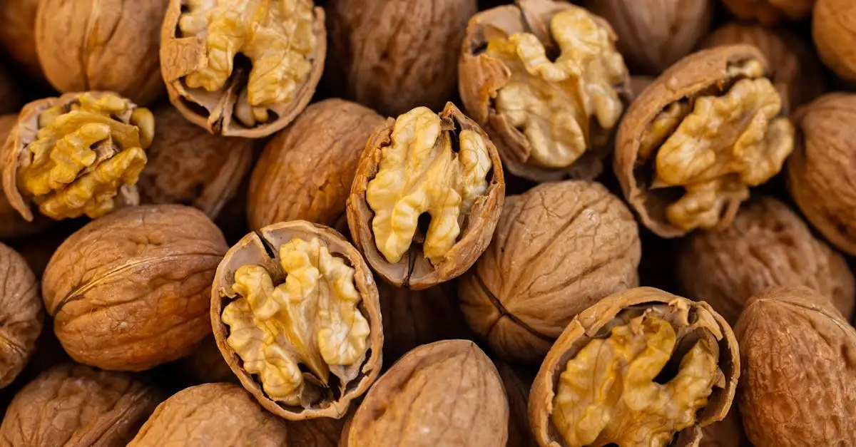 Waar zijn walnoten goed voor? Ontdek de gezondheidsvoordelen!